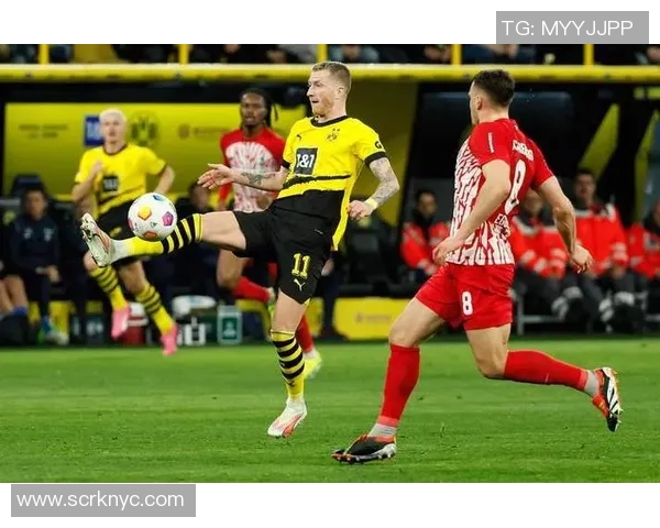 勒沃库森迎战帕德博恩全力争胜力争德甲积分榜上升