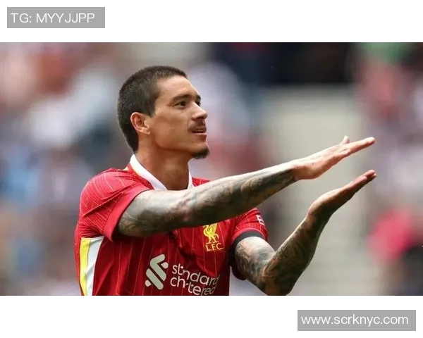 努涅斯在赛季初展现出惊人潜力成为球队新星的背后故事与挑战