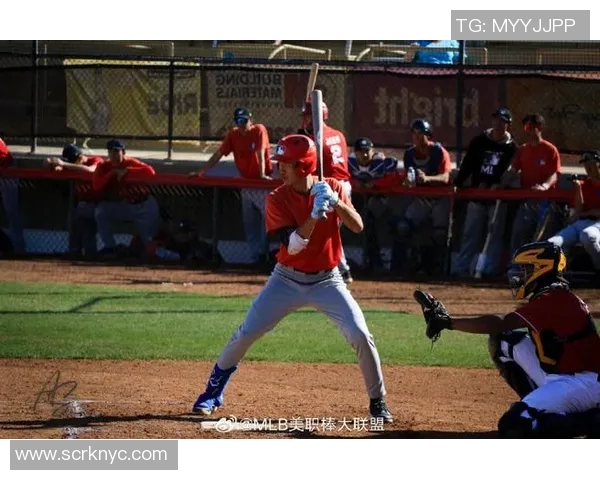 日职棒与美职棒的精彩对决：两大棒球联盟的魅力与差异分析