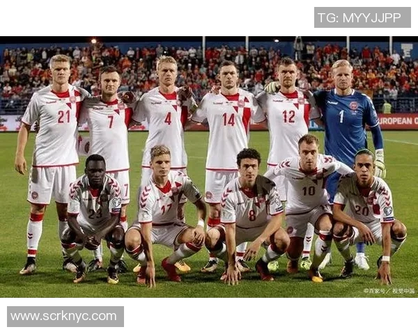 爱尔兰与丹麦足球对决精彩回顾与赛前分析