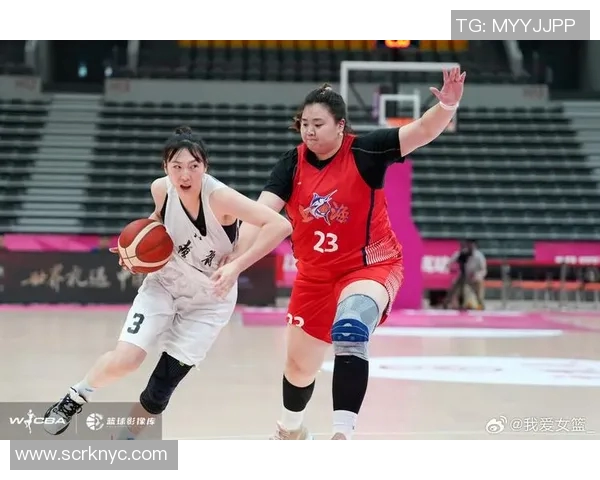 辽宁对浙江精彩比赛视频回顾与分析全场亮点不容错过