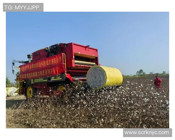棉农独立分析:探讨棉花产业链中的挑战与机遇