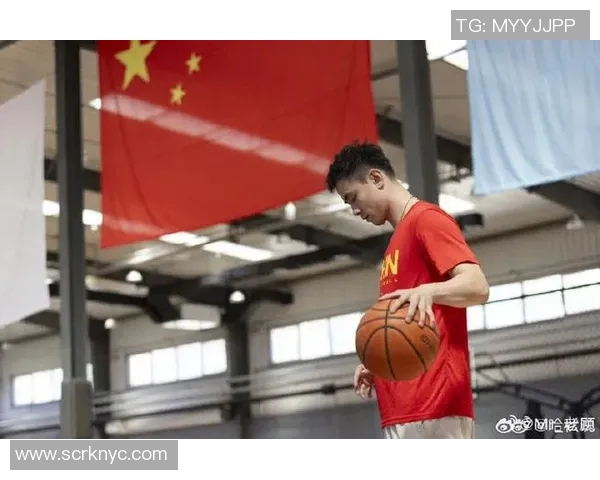 赵继伟：从青涩少年到篮球明星的成长之路与辉煌成就解析