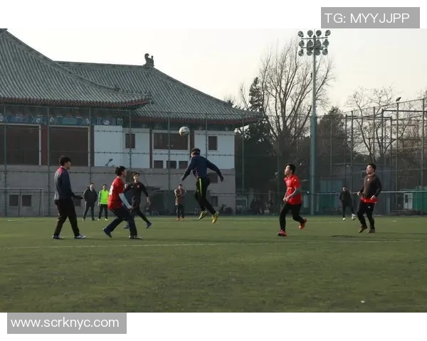 广州篮球队灵活性分析与战术适应性研究报告MBA