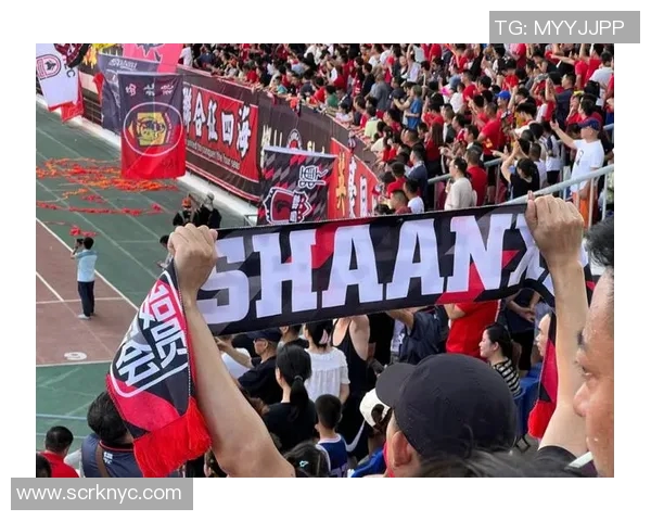 科特迪瓦与南非激战正酣比分揭晓引发球迷热议