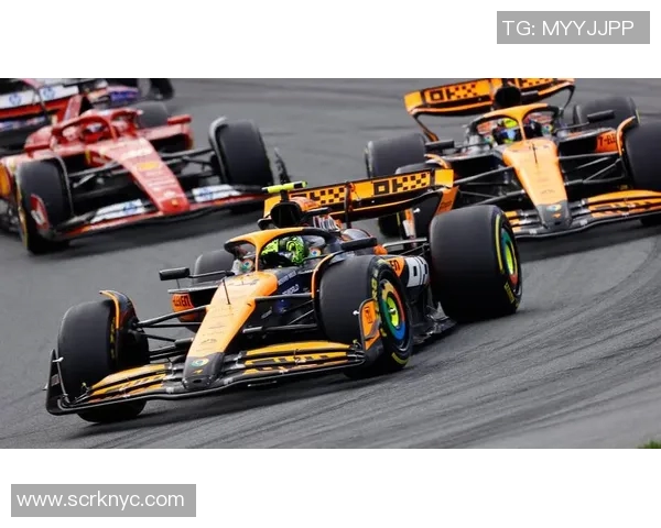 雷丁主场迎战谢菲尔德联力争三分全力争夺升级名额